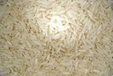 Rice