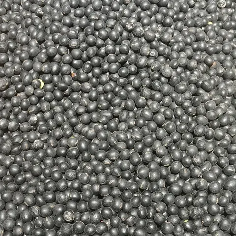 검은콩 자료 사진