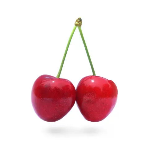 체리 자료 사진