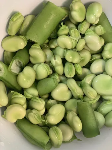 잠두 자료 사진