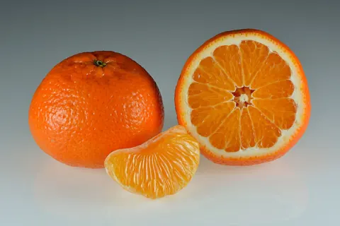 귤 자료 사진