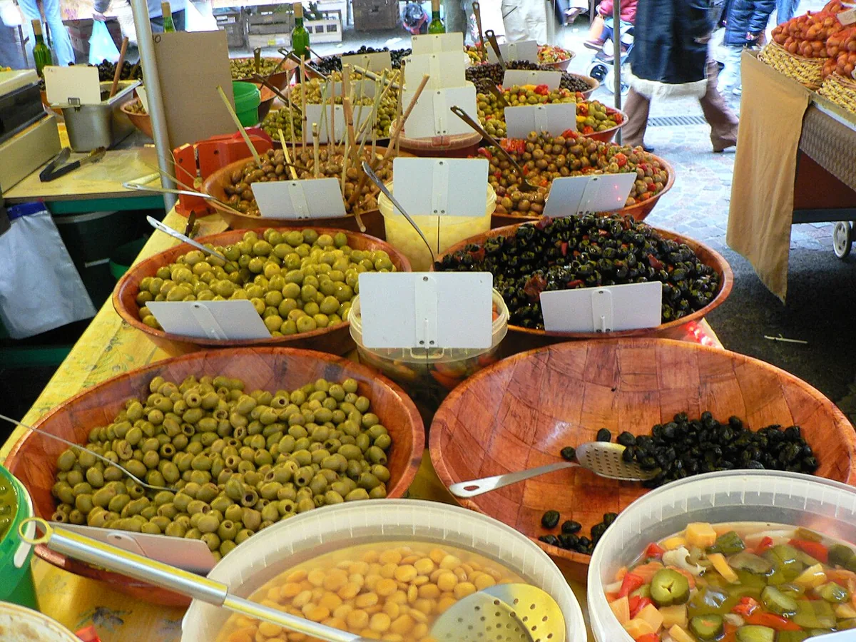 올리브 자료 사진