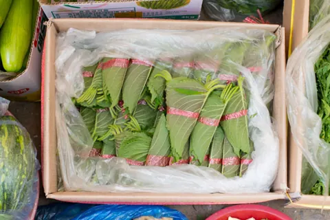 깻잎 자료 사진