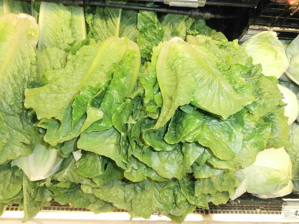 로메인 식재료 사진